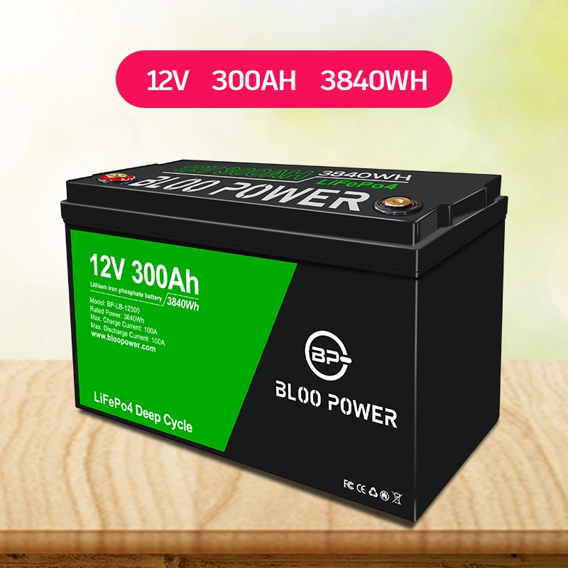 Bloo Power 12 24 Volt Li-ion des piles lithium-ion Pack pour chariot élévateur du réceptacle de manutention de matériel électrique Le nettoyage des véhicules de stockage du véhicule