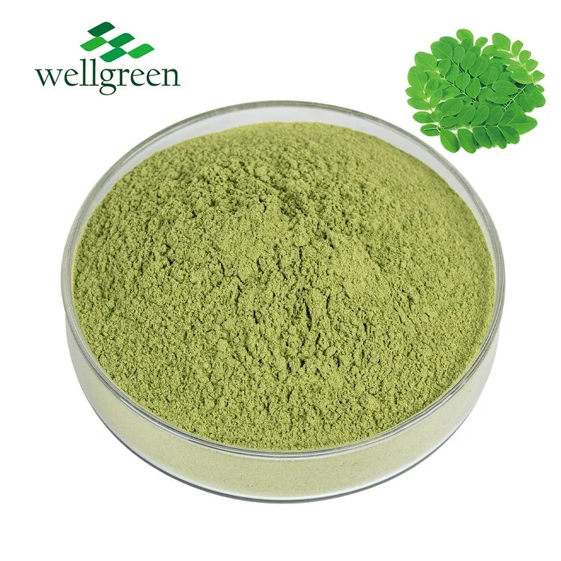 Free Sample Wellgreen Food Grade Herbal Extract 100% Natural Moringa Powder