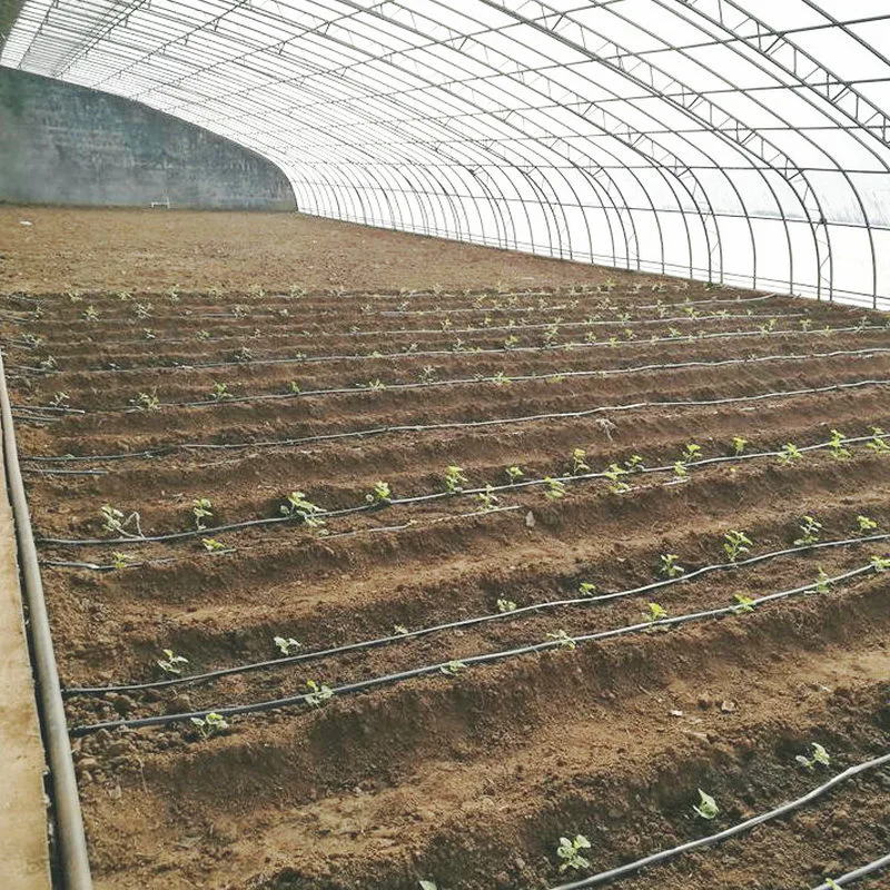 Good Drip & Spray Irrigation Equipment for Greenhouse