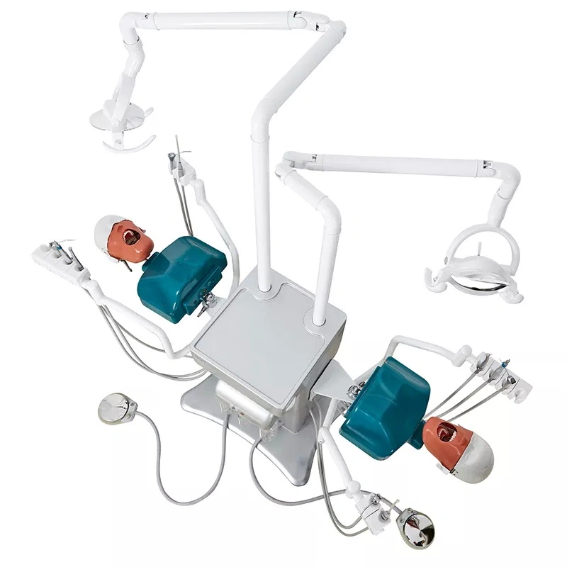 Heißer Verkauf Full Set Teaching System Dental Head Model Simulator