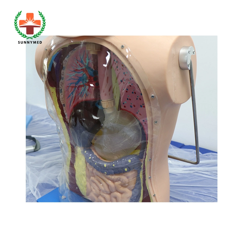 Sy-N03113 الرضاعة الأنفية للتدريب على القنينة ومحاكاة العلاج بالعين