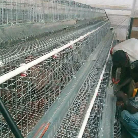 Chicken Cage Frame Galvanized Steel Feeder Door Poultry Enclosure Layer Coop