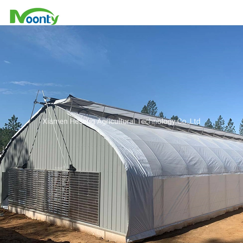 Kommerzielle Single Span Easy Tunnel Blackout Greenhouse 100% Shading Light Deprivation System Gewächshaus mit LED wachsen Licht