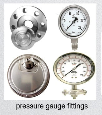 Stainless Steel 316 316L Pressure Gauge Housing&Flange