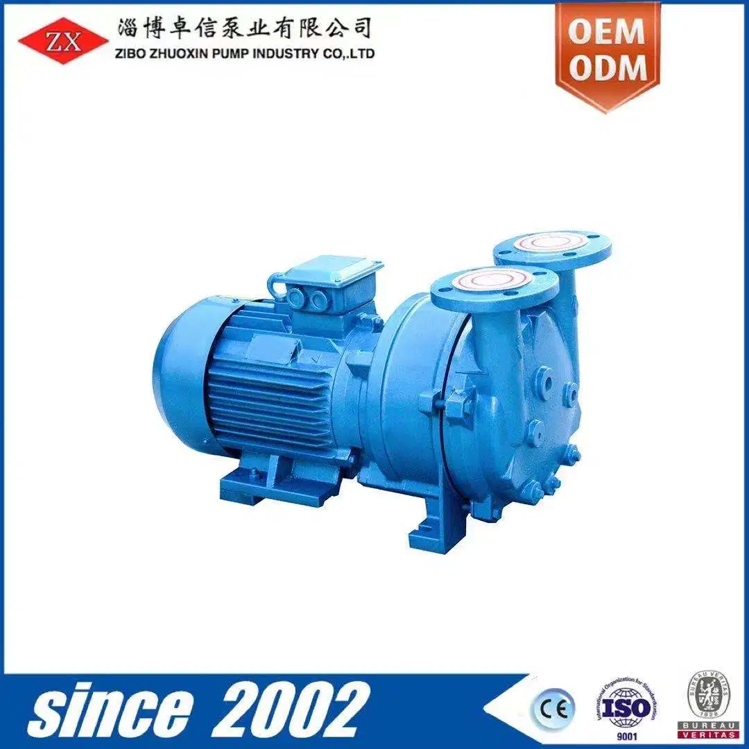 Chinese Direct Coupled Small Electric Motor Water Ring Vacuum Pump for Sale