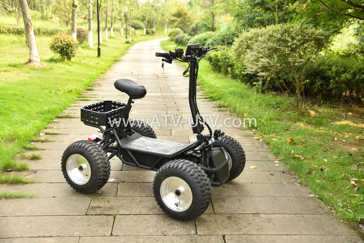 4000W 6000W 8000W 4X4 off Road 4WD Electric Skateboard EEC Four Wheel Scooter 5000W/8000W