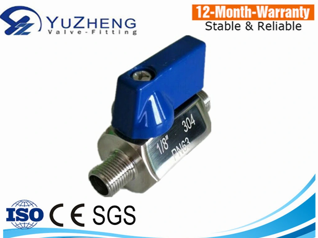 Dn15 1000wog Stainless Steel mm Mini Ball Valve with HS Code