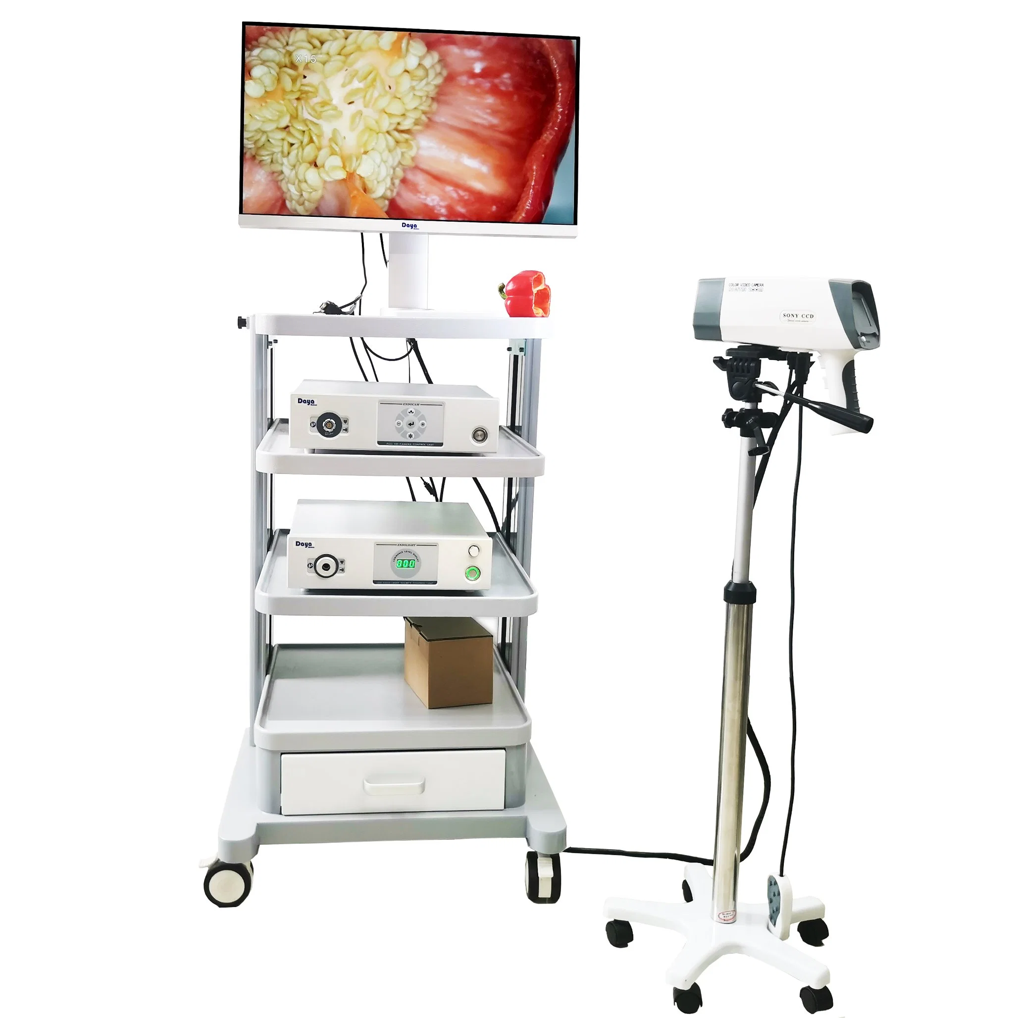 Full HD Electronic Potable Colposcopy Colposcope Digital Camera Sony for Gynecology with Software