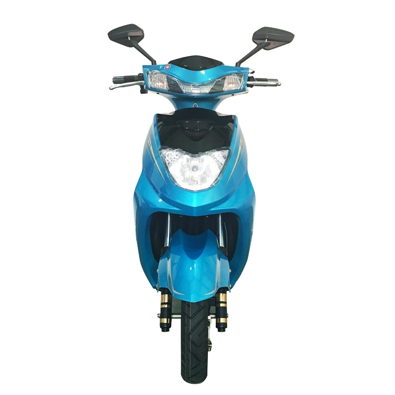 Electric Scooter Electric Motorcycle with Lead Acid Battery 800W Motorbike