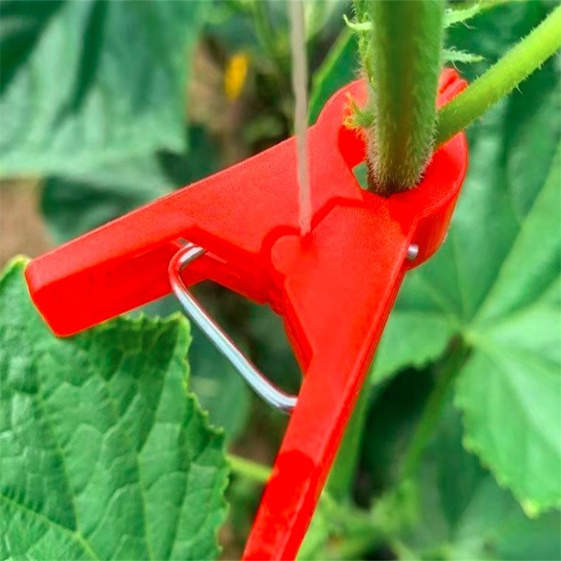 Wassermelone Gemüse Garten Tomate Trellis Clip Kunststoff-Pflanze Stützclip