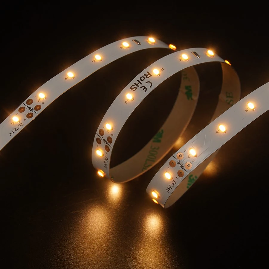 Leomay Wholesale/Supplier Indoor Decoration SMD3014 70leds/m 10MM LED Strip Light