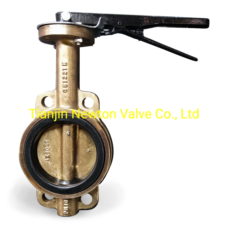 Fonte de fer ductile Acier au carbone Alliage d'aluminium Bronze Al inoxydable duplex Ggg40/50 Wcb A216 SS304 SS316 CF8 CF8m CF3 CF3m C954 ADC12 Vanne papillon