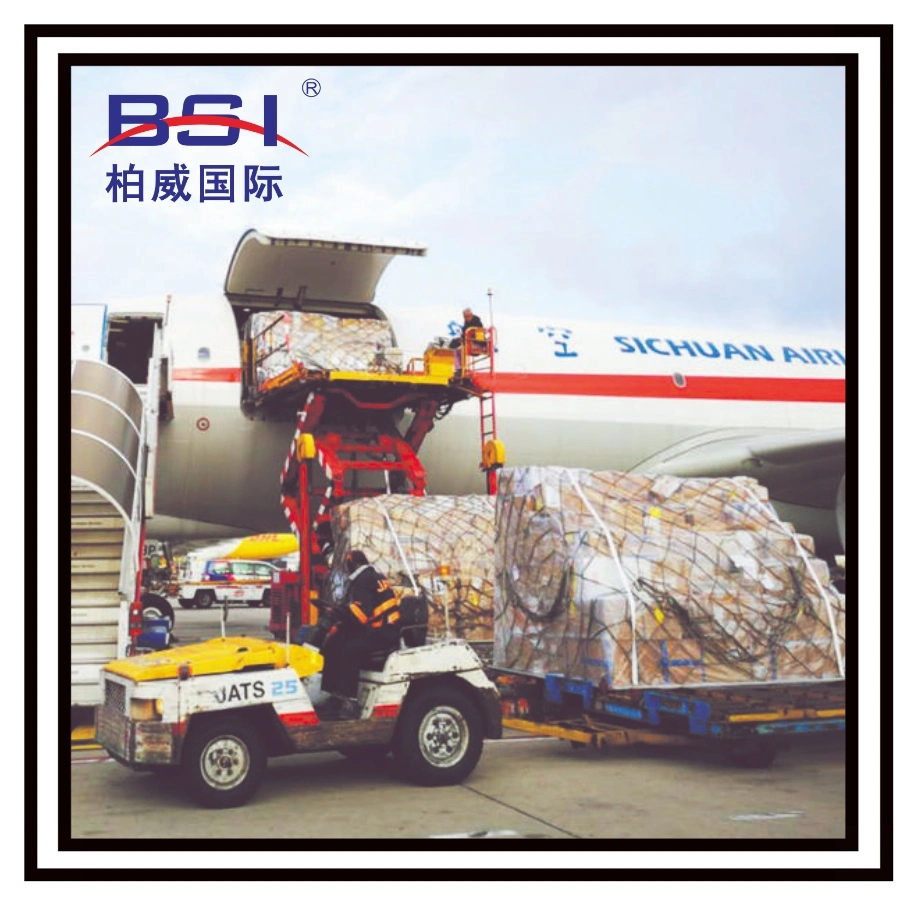 Professional, Stable and Fast International Logistics Service Provider From China to Algiers