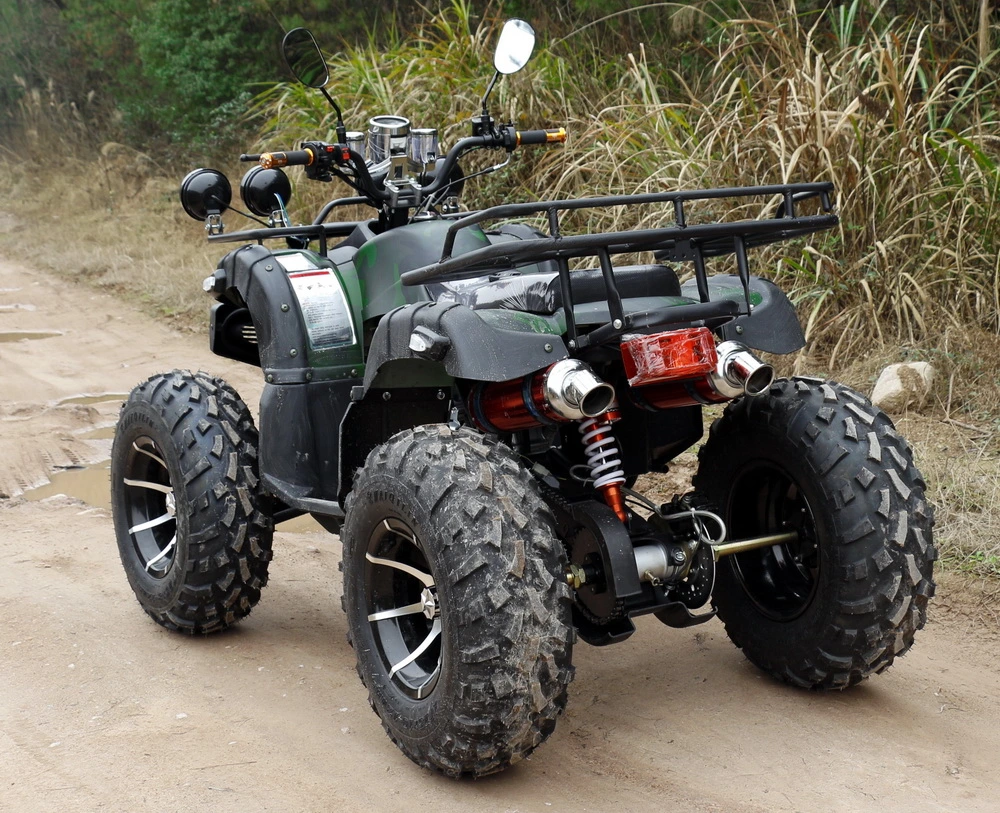 Velocidad de 4 ruedas todoterreno ATV 2WD de karts de montaña