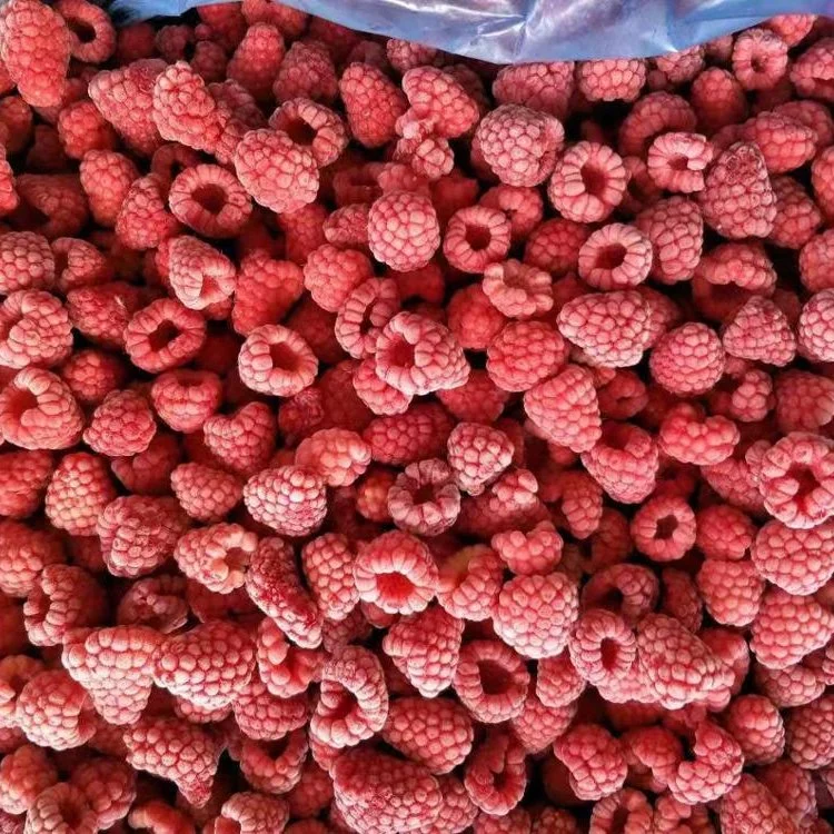 Frozen Fruits IQF Raspberry Whole