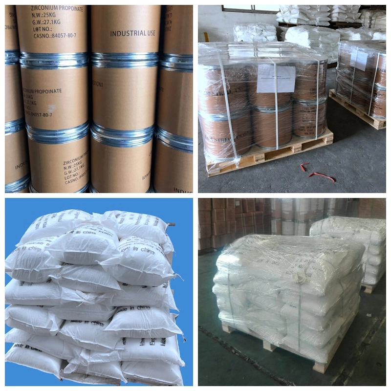 Treatment Agent Coating Zirconium Basic Carbonate CAS: 57219-64-4