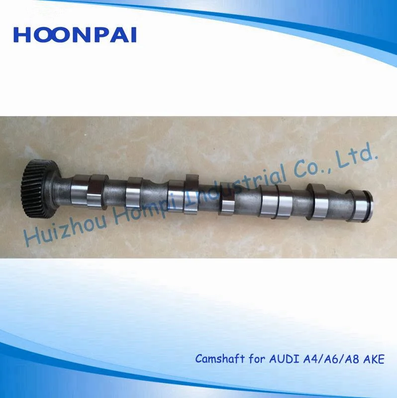 Auto Spare Part Camshaft for Volkswagen/Audi A4 Convertible (8H7, B6, 8HE, B7)/A6 Avant (4A, C4) 058109022B(IN) 058109021B(EX) 074109101J/Bmm/BPW/Brc A3 2.0tdi