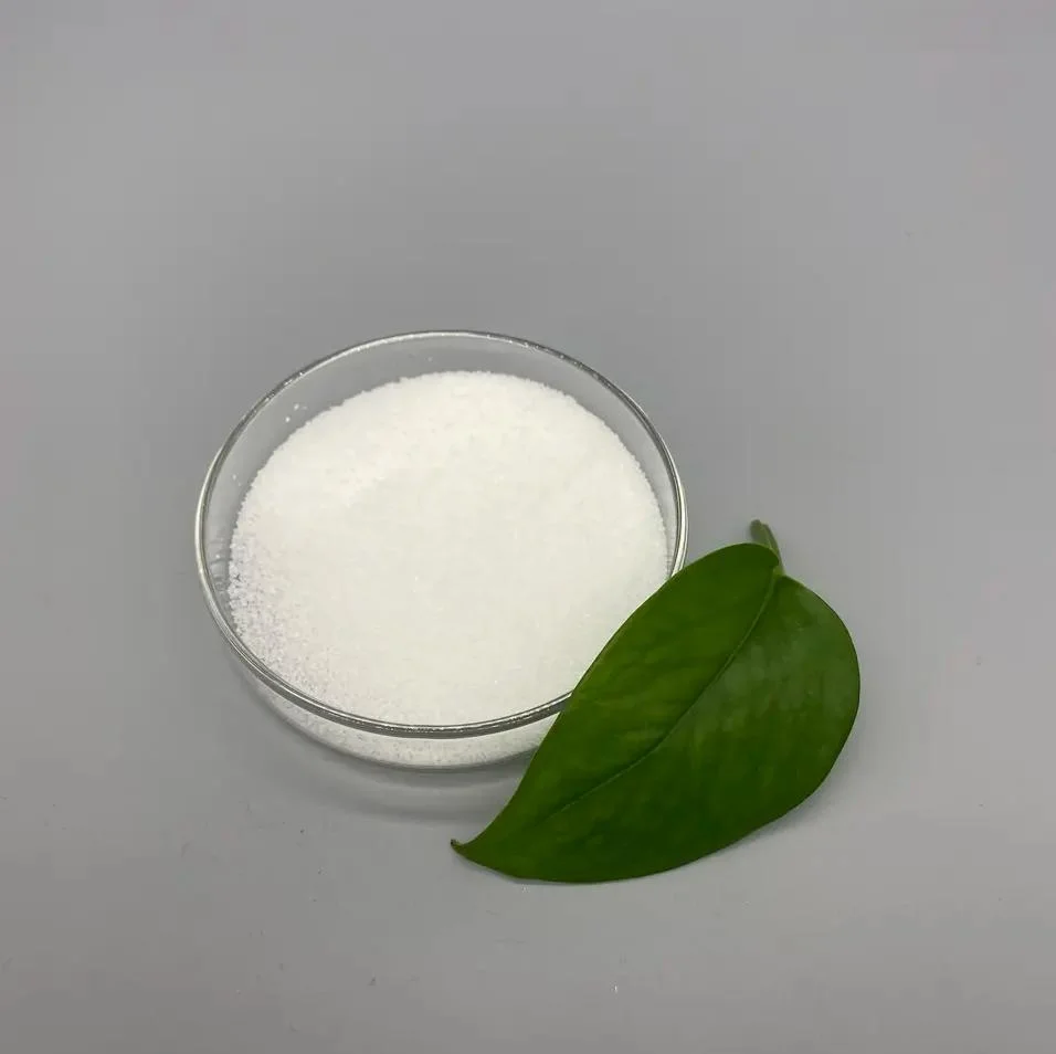 Hot Selling High Purity and High Viscosity PAM Industrial Water Treatment Coagulant Polyacrylamide
