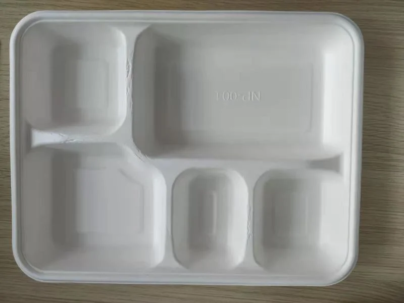 100% Plateau de bagasse de canne à sucre biodégradable et compostable.