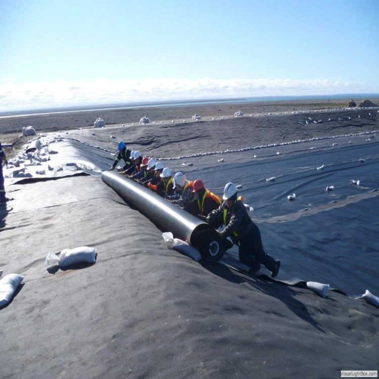 Geomembrana HDPE resistente al agua materiales de construcción para la granja de la Sal