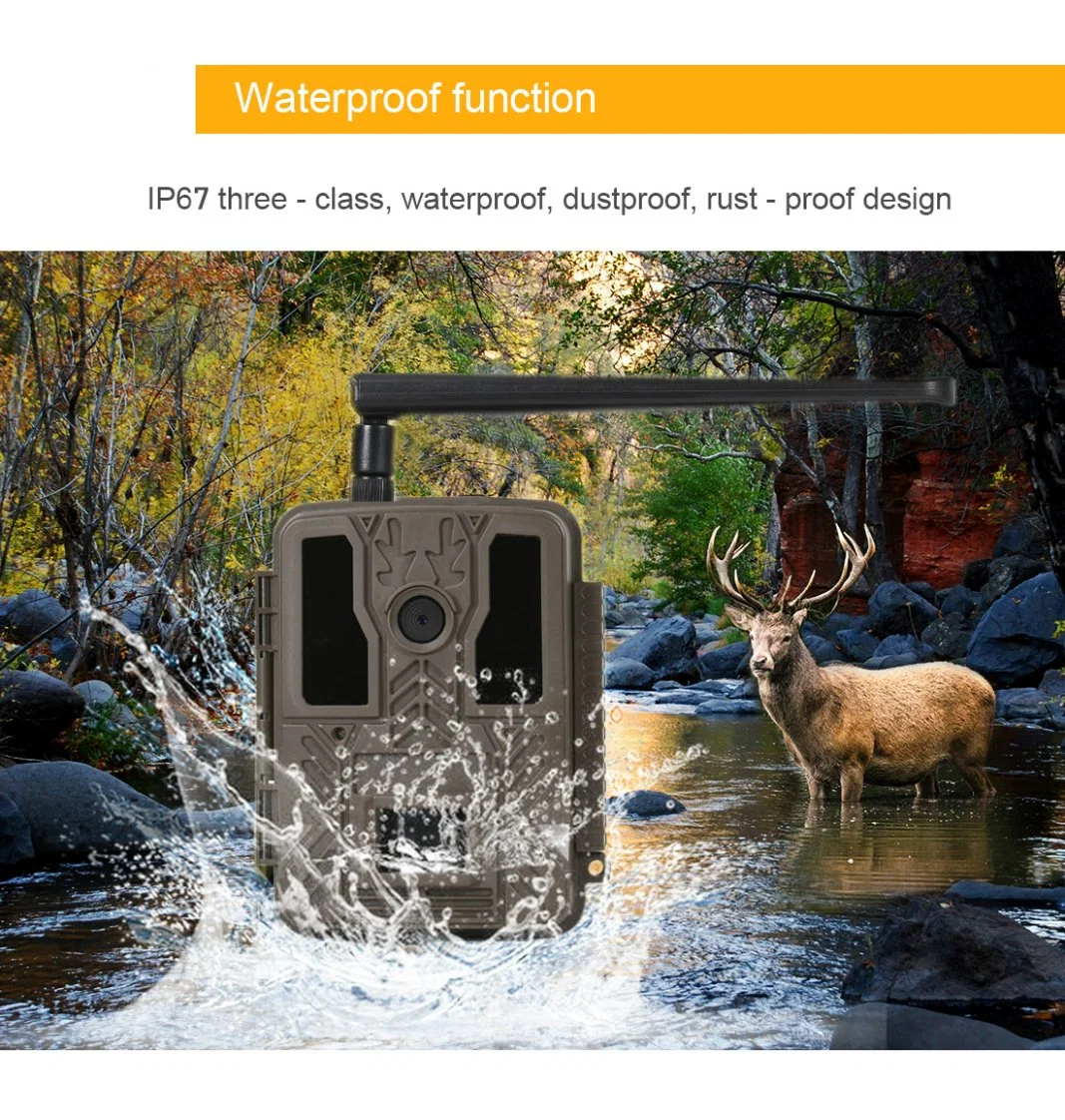 أفضل مبيعات Satellite Hunting Trail 36MP 2g إعداد تطبيق SMS كاميرا ألعاب شبكة خلوية لاسلكية