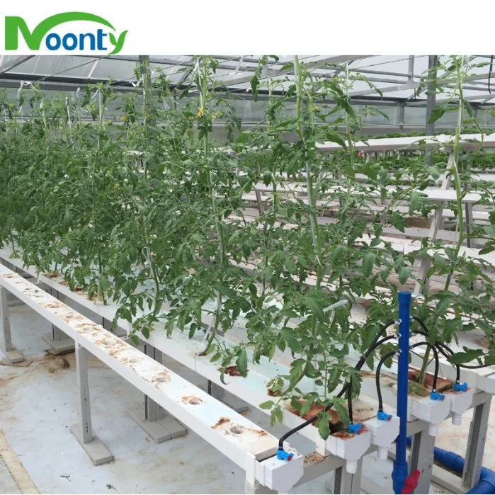 Hidropónico Nft vertical crecer barato sistema NFT Comercial Sistema de crecimiento del canal con el sistema de riego para Lecturre Fresa Pepino vegetal