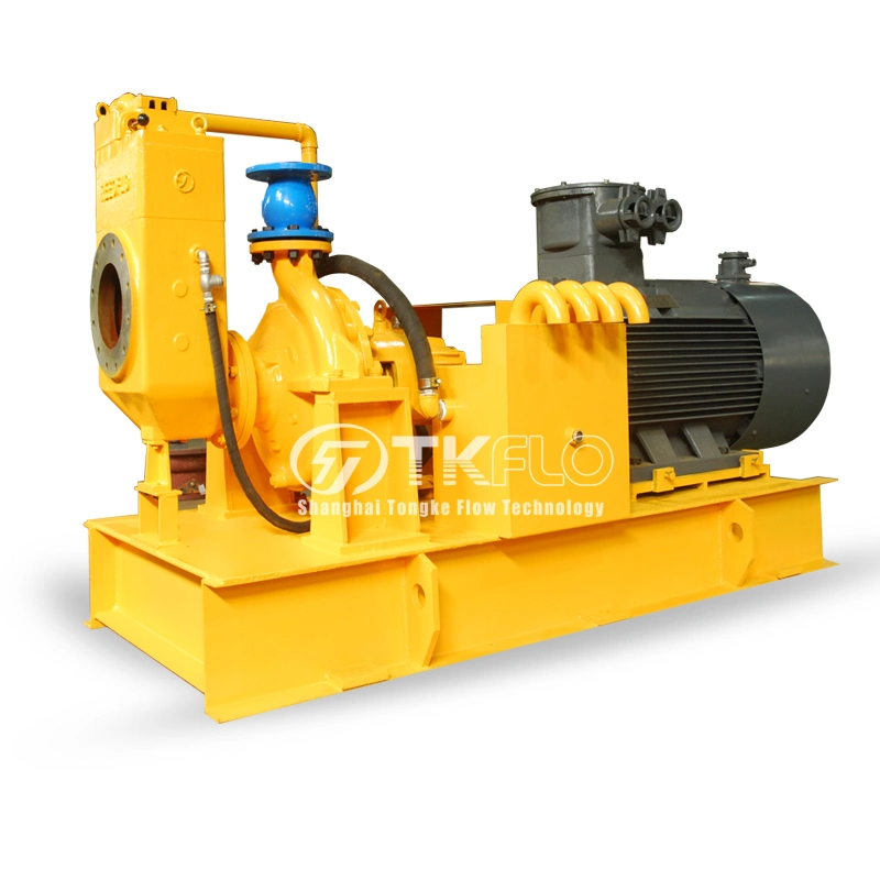 Self Priming Water Pump with Electric Motor