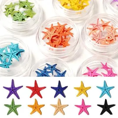 Summer Beach Nature Starfish Nail Art Sea Star Mini Small Sea Star Nail Art Decoration