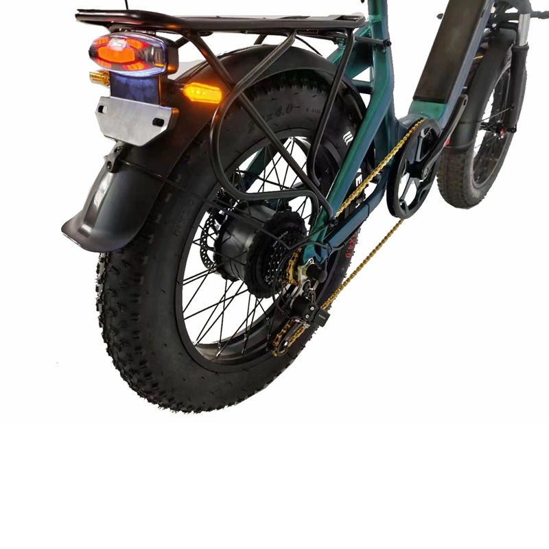 Vélo électrique pliant à pneus gras de 20 pouces, VTT électrique pliable 48V 500W, Vélo gras en alliage d'aluminium pliable, Support de personnalisation.