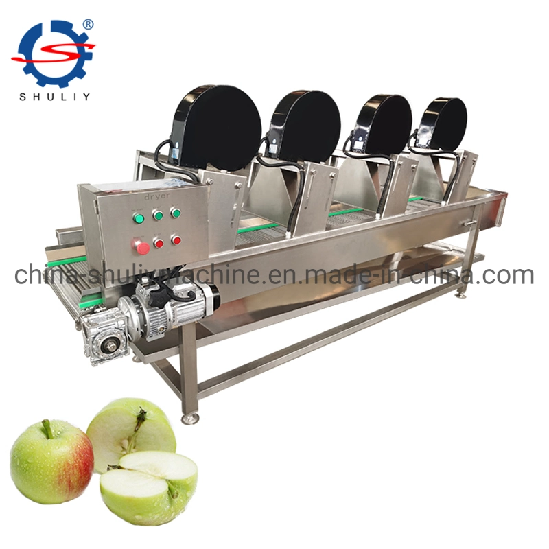 Mesh Belt Food Air Drying Equipment Fruit Vegetable Air Cooling Machine
