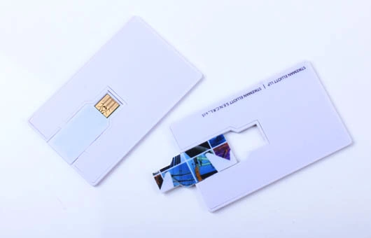 Impression couleur lecteur Flash USB Business Card Pen (CC02B)