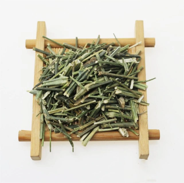 Chuan Xin Lian Hot Sale gros fournisseur de haute qualité en médecine d'herbes naturelles Andrographis paniculata pour la santé