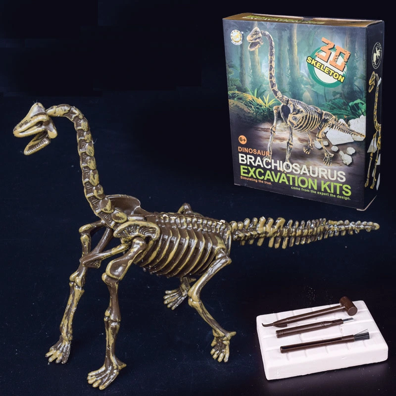 Fábrica al por mayor Arqueología Dinosaur Dig Kit Brachiosaurus Fossil Excavation Toys Para niños