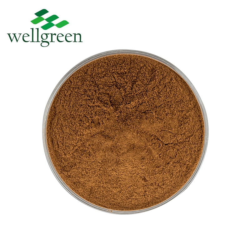 Free Sample Bulk Mushroom 10-50%Polysaccharide Hericium Erinaceus Lions Mane Extract