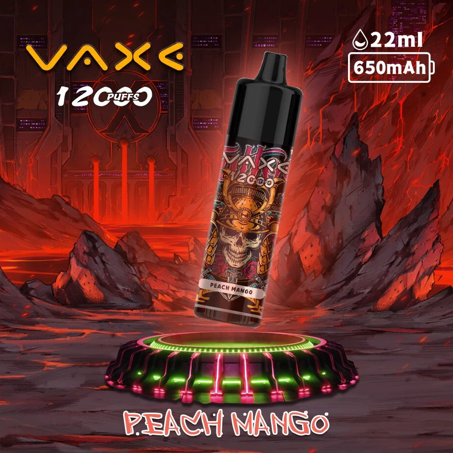 Vaxe VAPE original 12000 Puffs 22ml E-Juice Factory Wholesale/Supplier desechable Eligarette Mazaj Insta Bar Roma Atomizer ISTA Ale Fakher Custom Vaporizador