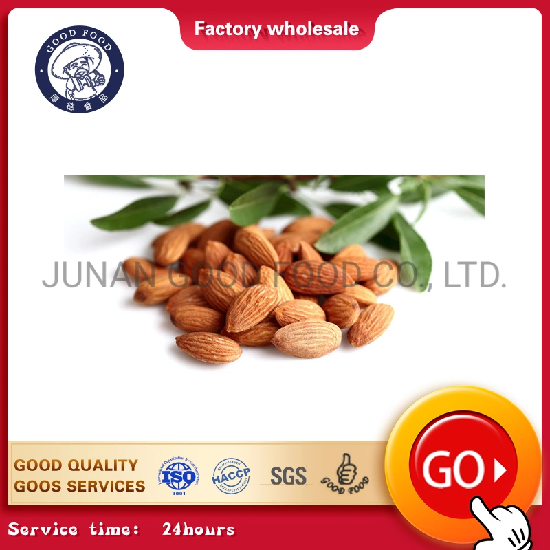 China Dried Organic Almond Carton Packing Almonds Raw