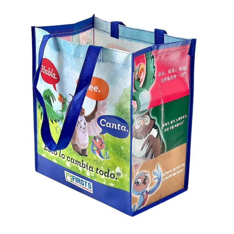 Travel-Friendly Knapsack Eco-Sensitive Small Canvas Tote Bag Bolso Tote De Lona for Easy Organization