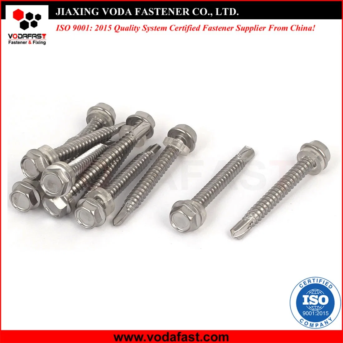 Vodafast Ss Carbon Steel Hex Washer Drilling Screw with Plastic Washer