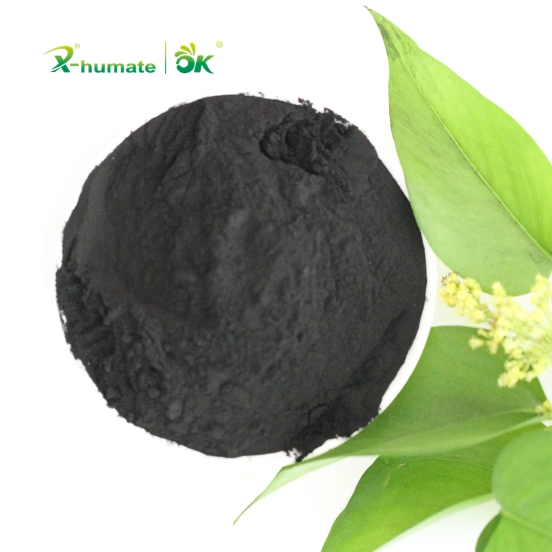 Organic Fertilizer Soil Conditioner 70% Humic Acid Powder