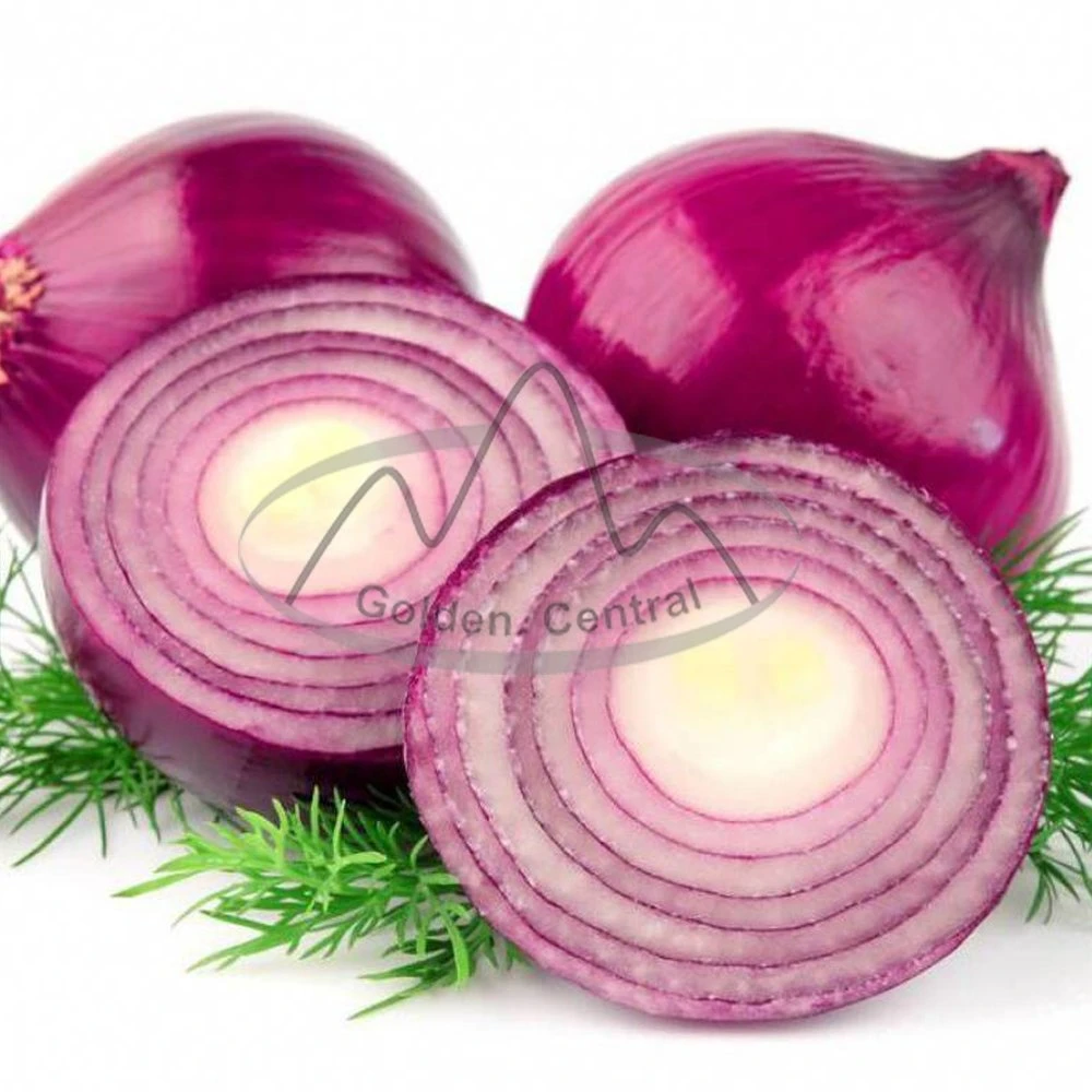 Cebola amarela Onion Vermelho fresco de melhor qualidade para Venda