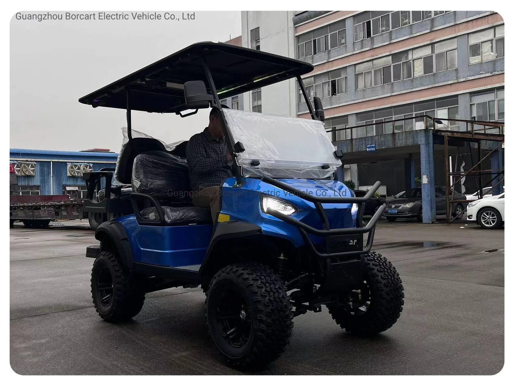 2 Seater Lifted Golf Cart Electric Golf Car Golf Cart Vehicle