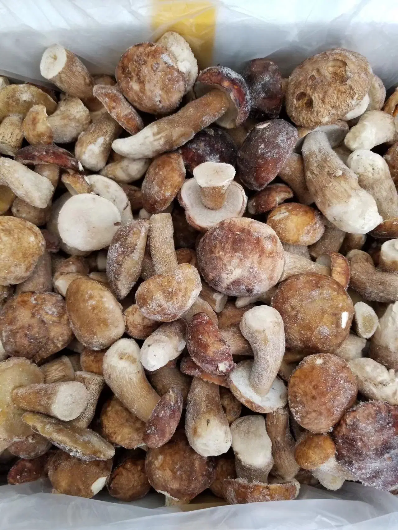 Canned Mixed Mushrooms with High quality/High cost performance  Canned Food Edible Fungus