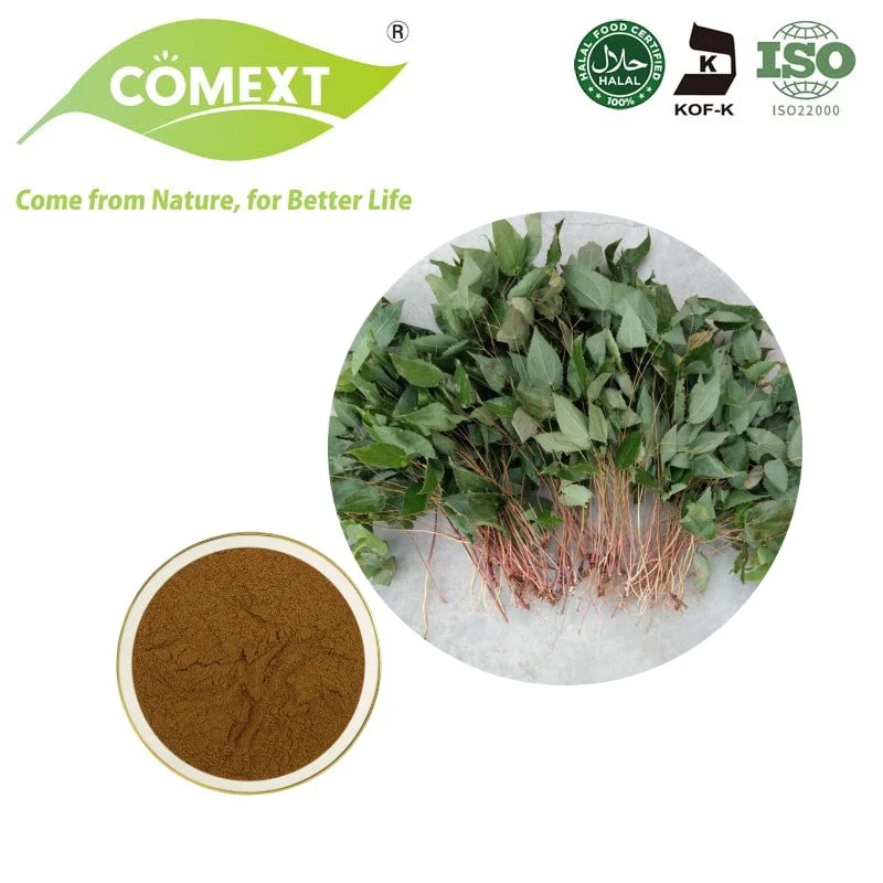 Comext bon prix Epimedium pour la vente de 25 % l'icariine Epimedium extrait de feuille de poudre