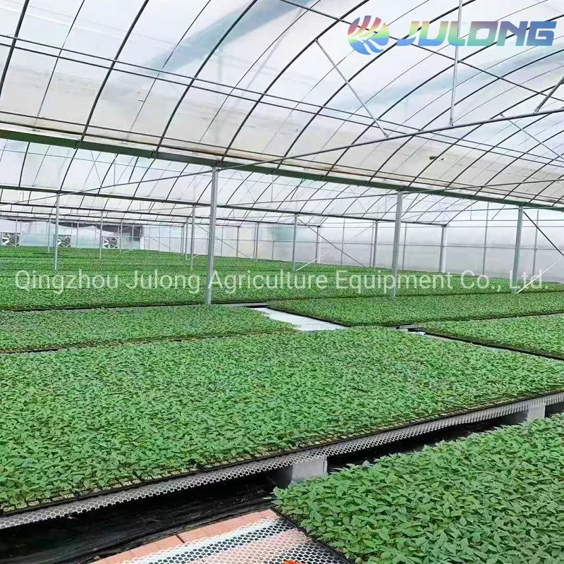 Low Cost Agricultural Greenhouse Plastic Film Polycarbonate for Tunnel Greenhouse