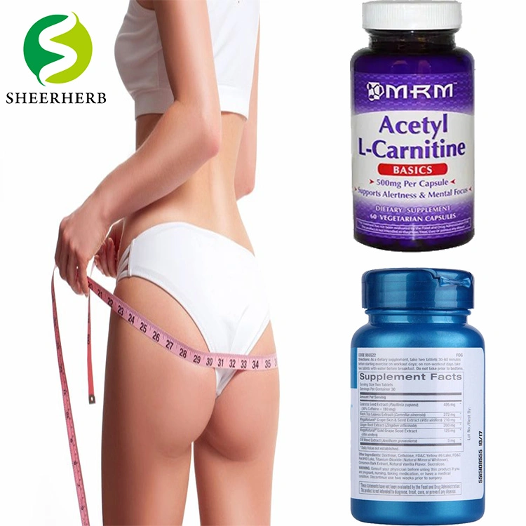 2021 Sheerherb High-Efficiency Weight Loss L-Carnitine Customized Capsule Acetyl L-Carnitine