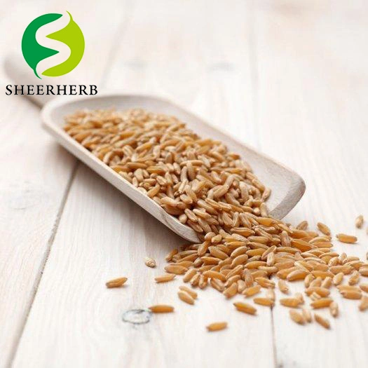 100% Water Soluble Wheat Protein 99% Hydrolysis Wheat Protein Isolate for Hair