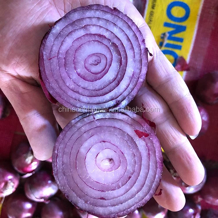 Chinese New Crop Fresh Red Onion for South Asia Market