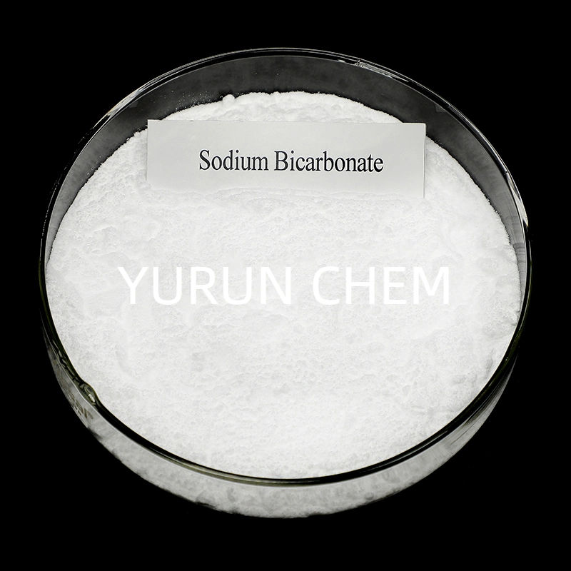 Food Additives/Food Grade Inorganic Salt Sodium Bicarbonate