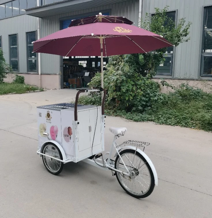 Bicicleta de carga de 3 rodas com congelador aprovada pela CE OEM Carrinhos de venda para o triciclo elétrico do creme de gelo