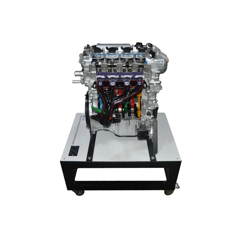 Four-Stroke Gasoline Engine Anatomical Model Automotive Teaching Equipment Vocational Training Didactic Equipment